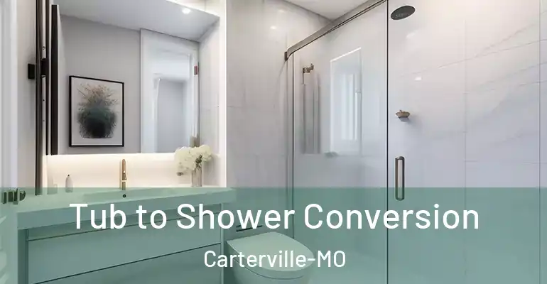 inner Bathroom imggen Tub to Shower Conversion Carterville-MO
