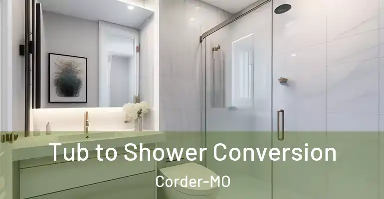 inner Bathroom imggen Tub to Shower Conversion Corder-MO