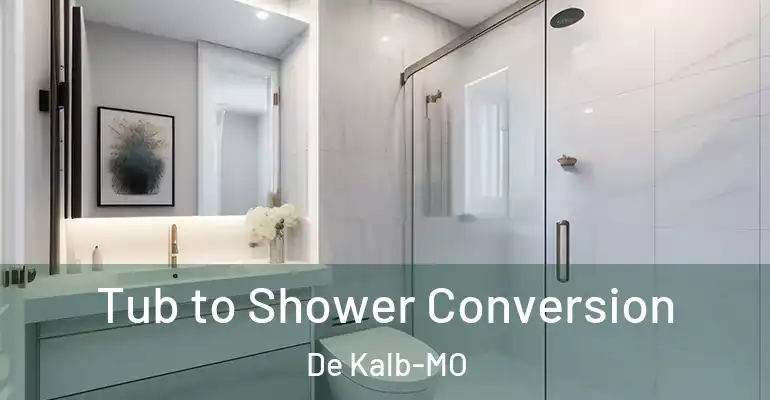 inner Bathroom imggen Tub to Shower Conversion De Kalb-MO