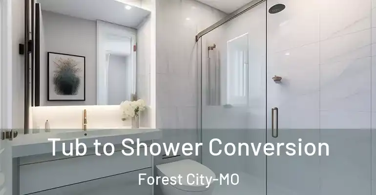 inner Bathroom imggen Tub to Shower Conversion Forest City-MO