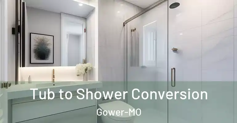 inner Bathroom imggen Tub to Shower Conversion Gower-MO