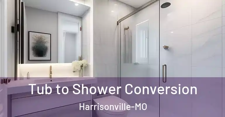 inner Bathroom imggen Tub to Shower Conversion Harrisonville-MO