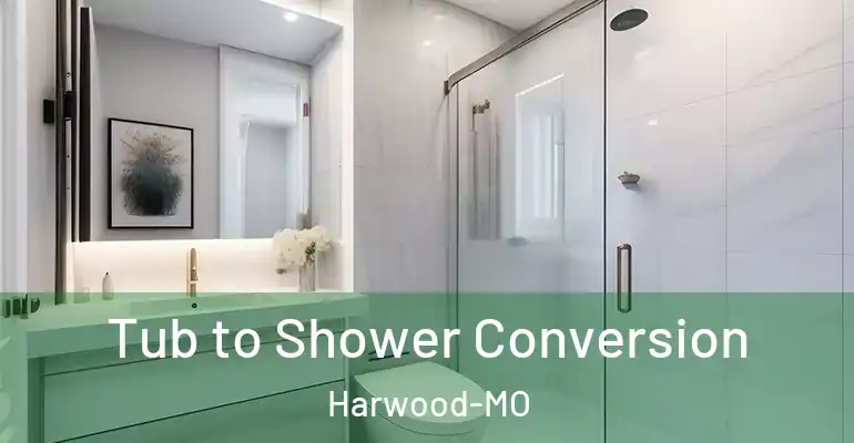 inner Bathroom imggen Tub to Shower Conversion Harwood-MO