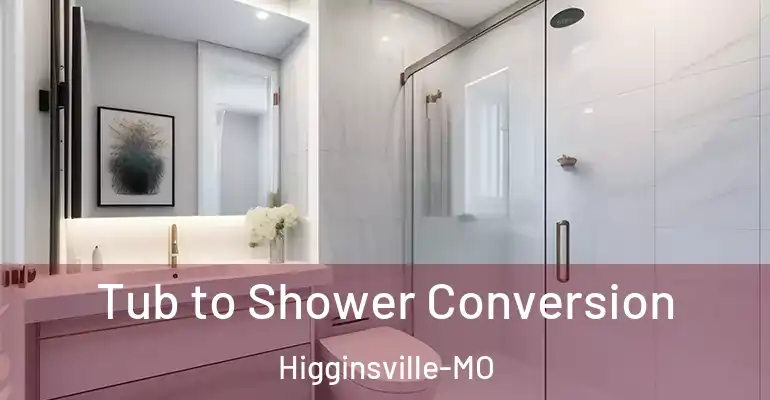 inner Bathroom imggen Tub to Shower Conversion Higginsville-MO