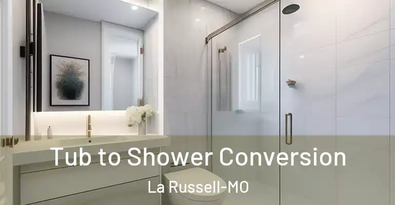 inner Bathroom imggen Tub to Shower Conversion La Russell-MO