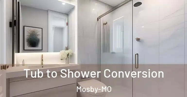 inner Bathroom imggen Tub to Shower Conversion Mosby-MO
