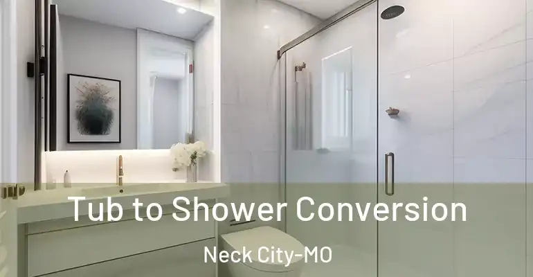 inner Bathroom imggen Tub to Shower Conversion Neck City-MO