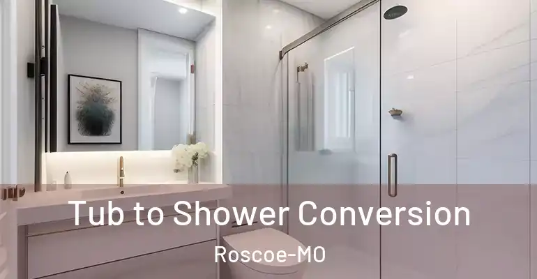 inner Bathroom imggen Tub to Shower Conversion Roscoe-MO