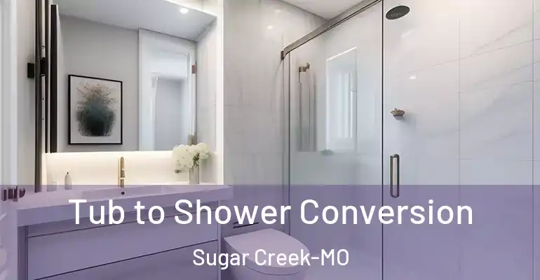 inner Bathroom imggen Tub to Shower Conversion Sugar Creek-MO