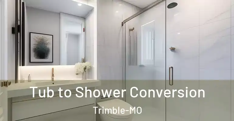 inner Bathroom imggen Tub to Shower Conversion Trimble-MO