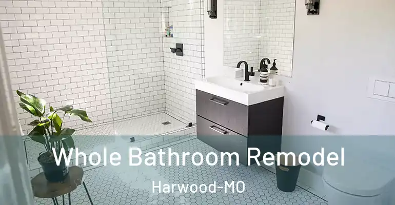 inner Bathroom imggen Whole Bathroom Remodel Harwood-MO