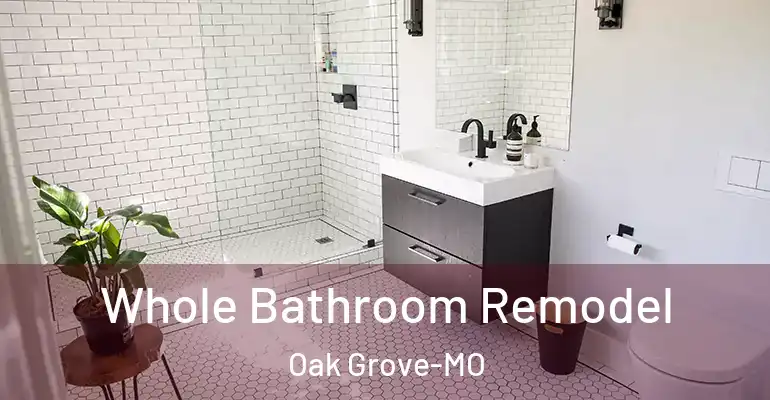 inner Bathroom imggen Whole Bathroom Remodel Oak Grove-MO