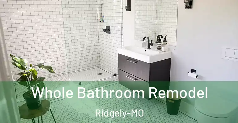 inner Bathroom imggen Whole Bathroom Remodel Ridgely-MO